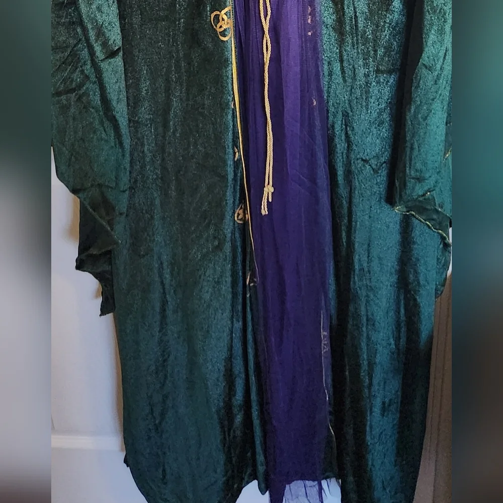 Disney Hocus Pocus Costume  2X Winnie Sanderson - Picture 3 of 12